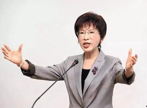 洪秀柱爆料视频播放,揭秘背后惊人真相 第2张 洪秀柱爆料视频播放,揭秘背后惊人真相 第2张