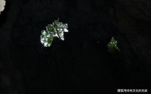 恐怖洞完整版在线观看,惊悚深渊，揭秘未知的恐惧之旅  第2张