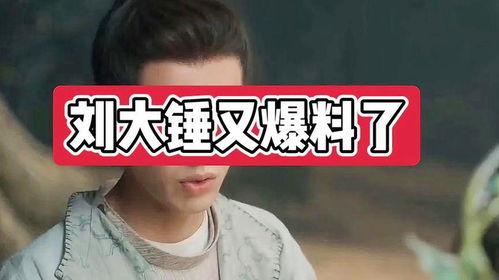 刘大锤爆料白鹿原视频,白鹿原视频背后的惊人真相  第3张